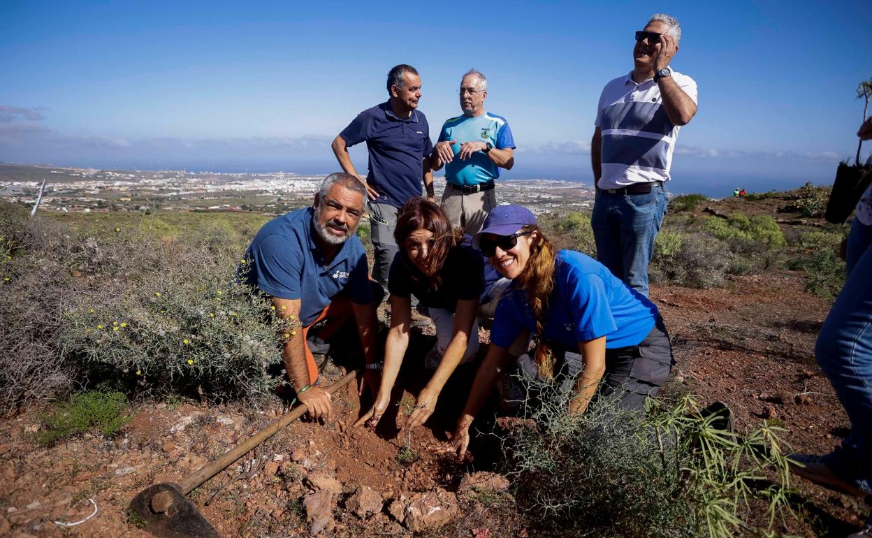 Momento de la plantación. 
