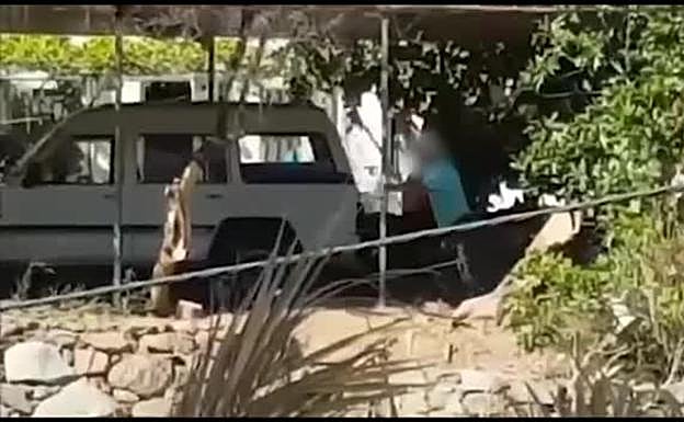 Nuevo caso de maltrato: tira piedras y tablas de madera a sus perros