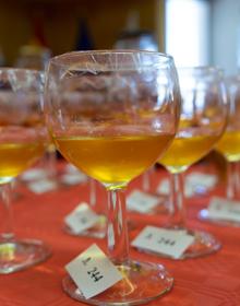 Imagen secundaria 2 - El certamen repartió premios entre profesional y aficionado/a de entidades asociativas; y en tres categorías de mieles: multifloral, monofloral y mejor de Gran Canaria 2022. 