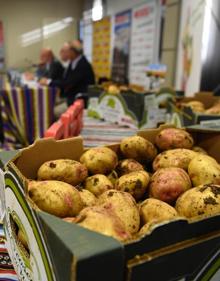 Imagen secundaria 2 - Imágenes de la rueda de prensa celebrada en Mercalaspalmas. 