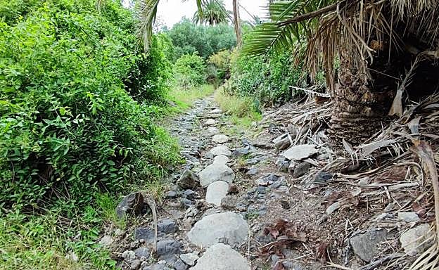 El colector parece la columna vertebral del camino. 