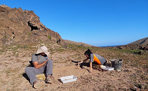 El yacimiento se prospectó por primera vez en los 90 del pasado siglo. 