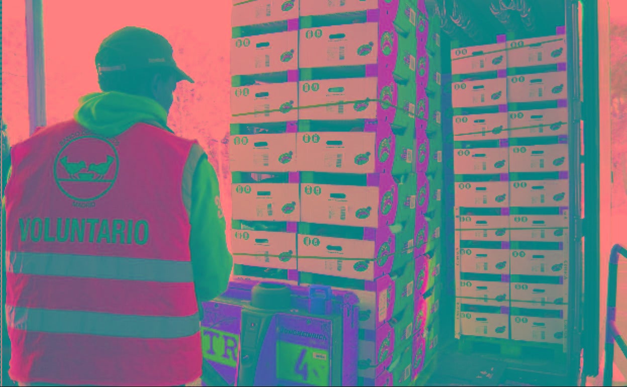 Dos millones de Plátanos de Canarias a bancos de alimentos para combatir la pobreza alimentaria esta navidad