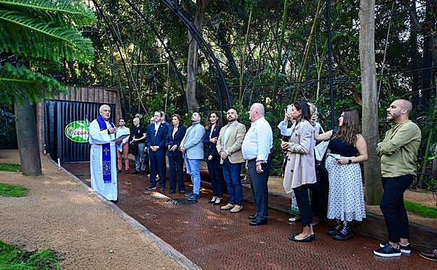 Imagen principal - Loro Parque sigue creciendo con una cueva de murciélagos y un gran aviario para loros australianos