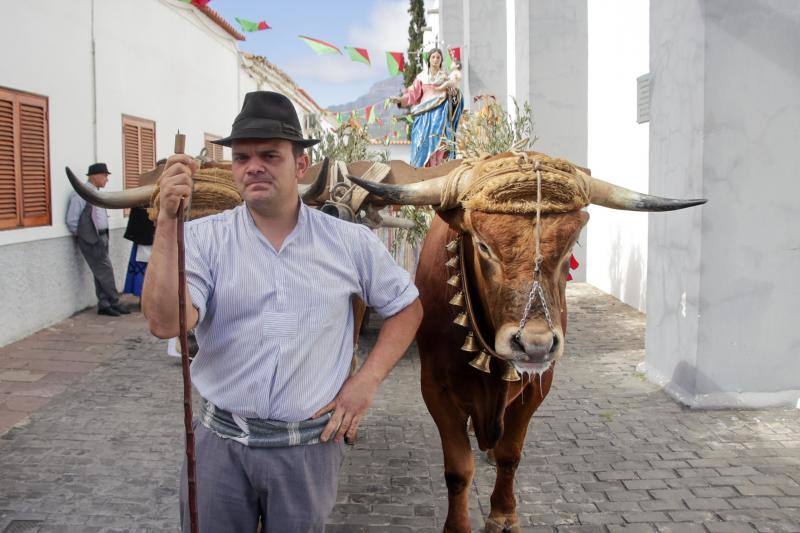 Fotos: Miles de personas celebran la romería de Los Labradores