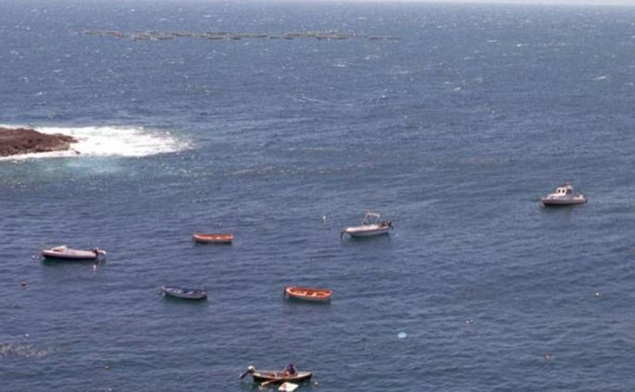 Vista, al fondo de la imagen, de las jaulas de Canexmar, las más próximas a la futura granja de lubinas. 