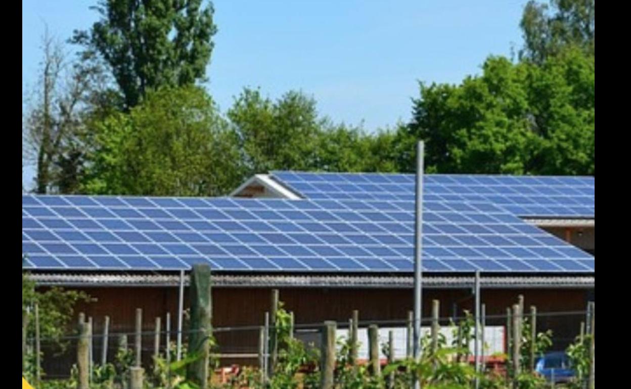 Paneles solares en la cubierta de una explotación agraria. 
