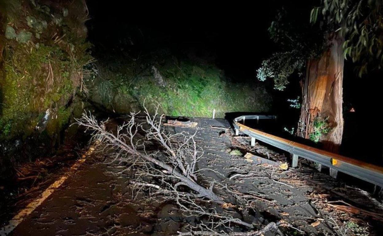 Debido al viento, hay obstáculos que dificultan el paso en las carreteras de Gran Canaria. 