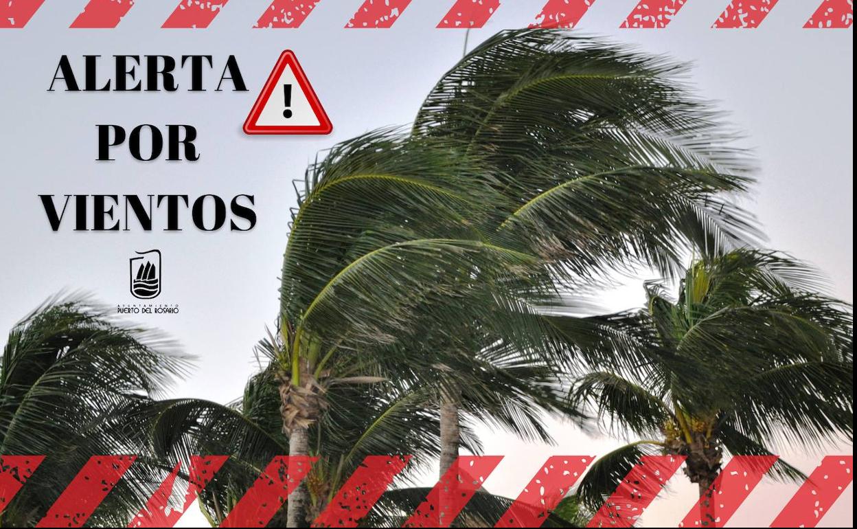 Puerto del Rosario suspende todas las actividades programadas para hoy
