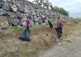 Voluntarios recogiendo basura en la acción ambiental llevada a cabo en Agaete