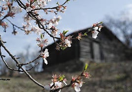 El día, en imágenes