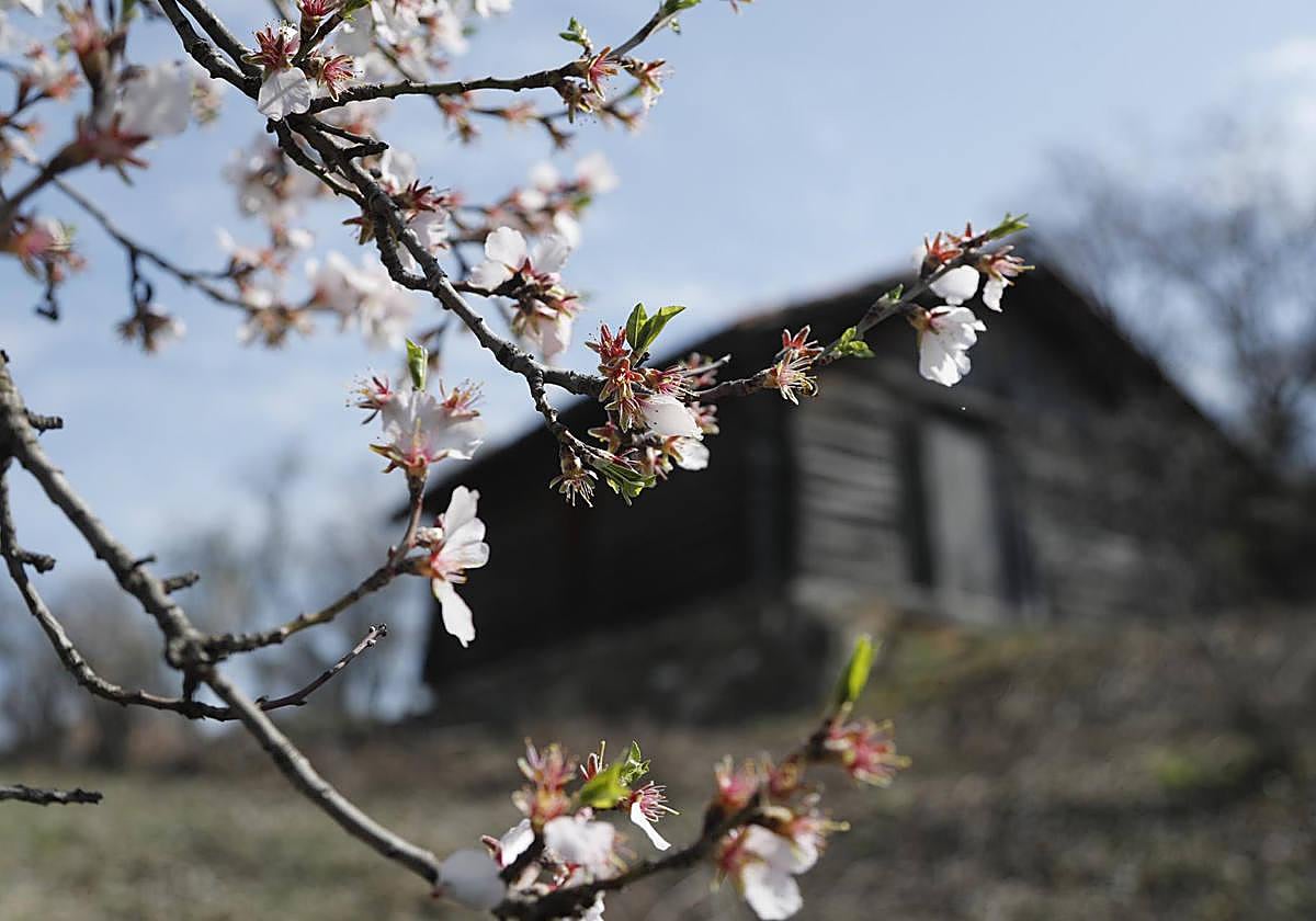 El día, en imágenes