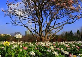 El día, en imágenes