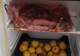 Imagen de comida podrida en una de las neveras del local social.