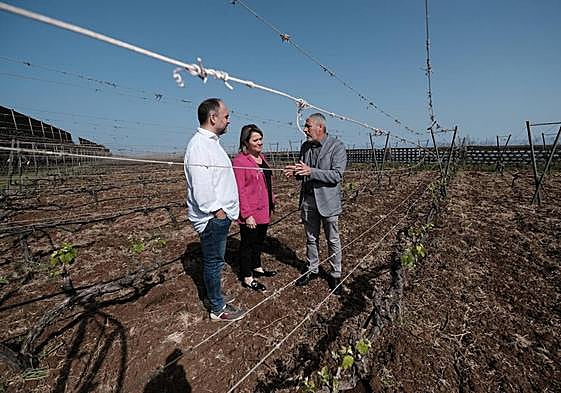 Los dos consejeros atienden las explicaciones del presidente del ICIA, Juan Francisco Padrón.