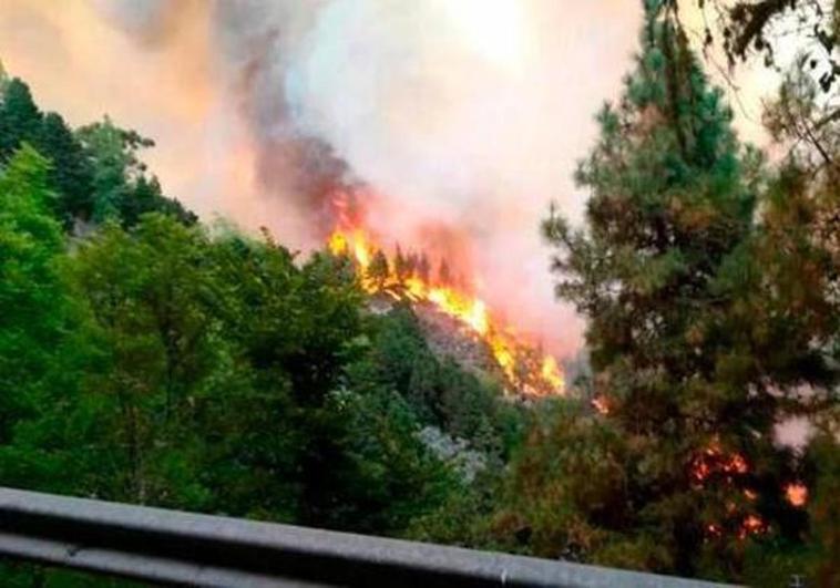 Alerta por riesgo de incendios forestales en Gran Canaria