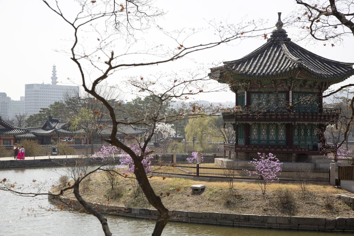 Los turistas que visten hanbok, un vestido tradicional coreano, toman fotografías durante una visita al Palacio Gyeongbokgung en Seúl, Corea del Sur. Gyeongbokgung, el palacio principal del Dinastía Joseon, se ha utilizado como escenario para numerosas películas y series de televisión y se ha convertido en la meca del turismo de la ola coreana. (Corea del Sur, La meca, Seúl) 