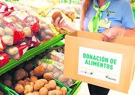 Fundación DinoSol cumple seis años dedicada a las familias canarias