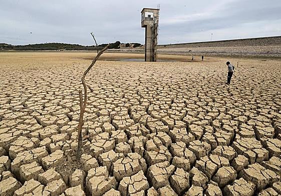 El día, en imágenes