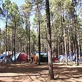 La zona de acampada y el área recreativa de Tamadaba se reabren