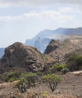 Imagen secundaria 2 - El aviso de una niña, clave para atajar el incendio en la cumbre grancanaria