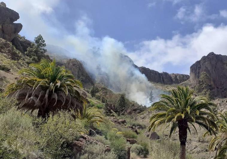 Imagen del humo producido por el conato de incendio en la Presa de Soria.