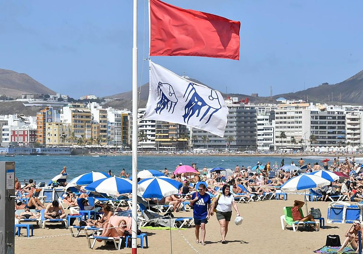 Bandera roja en Las Canteras por aguavivas