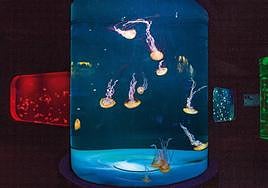 Instalación Aquaviva en Loro Parque.