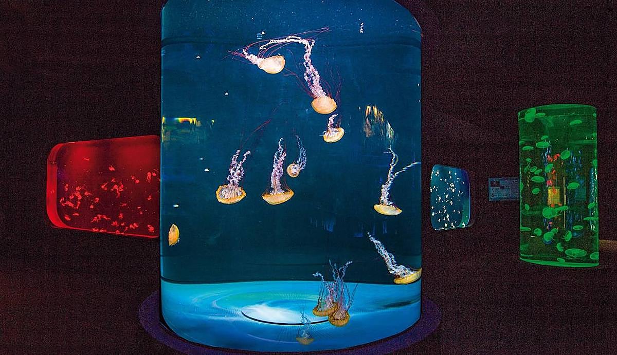 Instalación Aquaviva en Loro Parque.