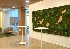 Cajasiete premia a su oficina más sostenible