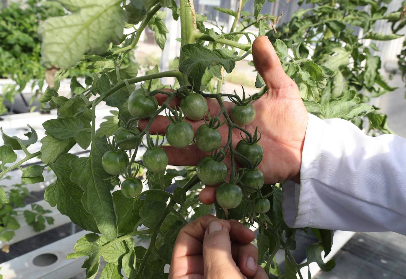 El día, en imágenes