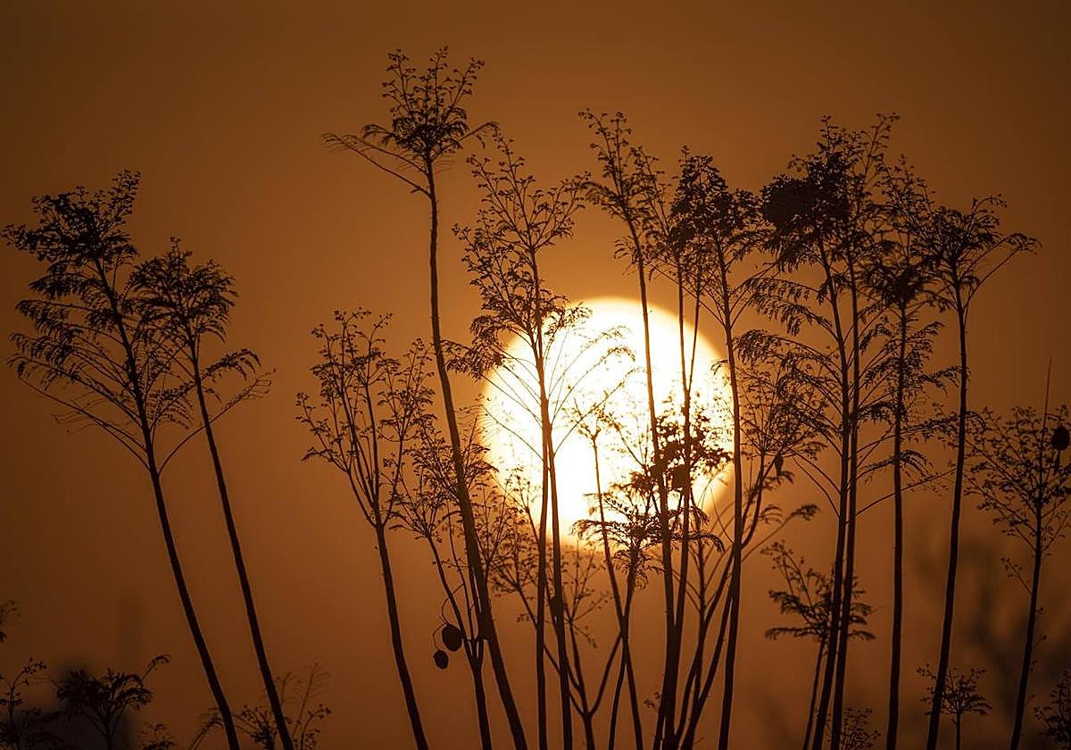 El día, en imágenes