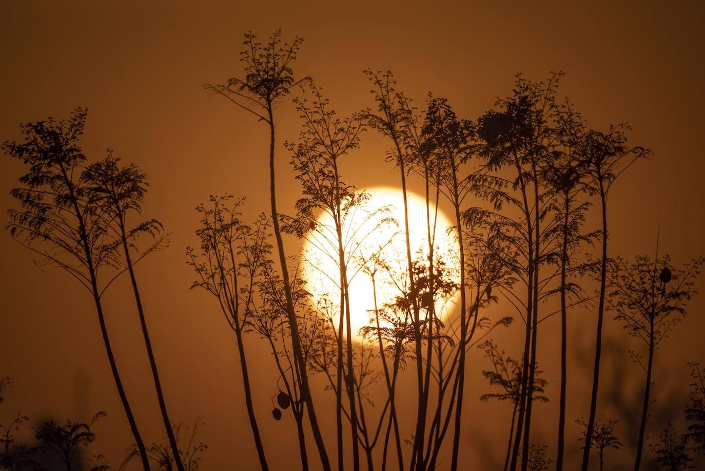 El día, en imágenes