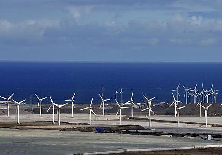 Los molinos han proliferado en la isla, en especial en el corredor este.