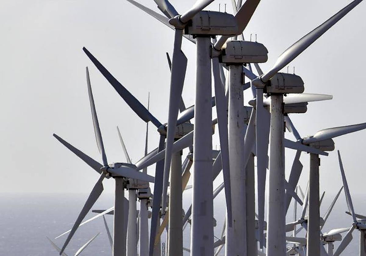 Aerogeneradores apelotonados en el entorno de la central térmica de Barranco de Tirajana.