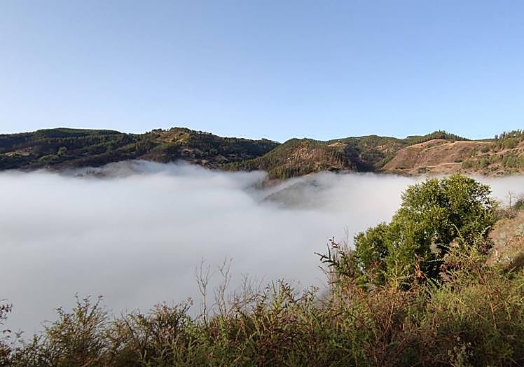 Nieblas en la cabecera del barranco de La Virgen, en Valleseco.