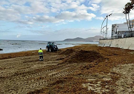 Imagen de la retirada de la seba en la zona de Playa Chica.