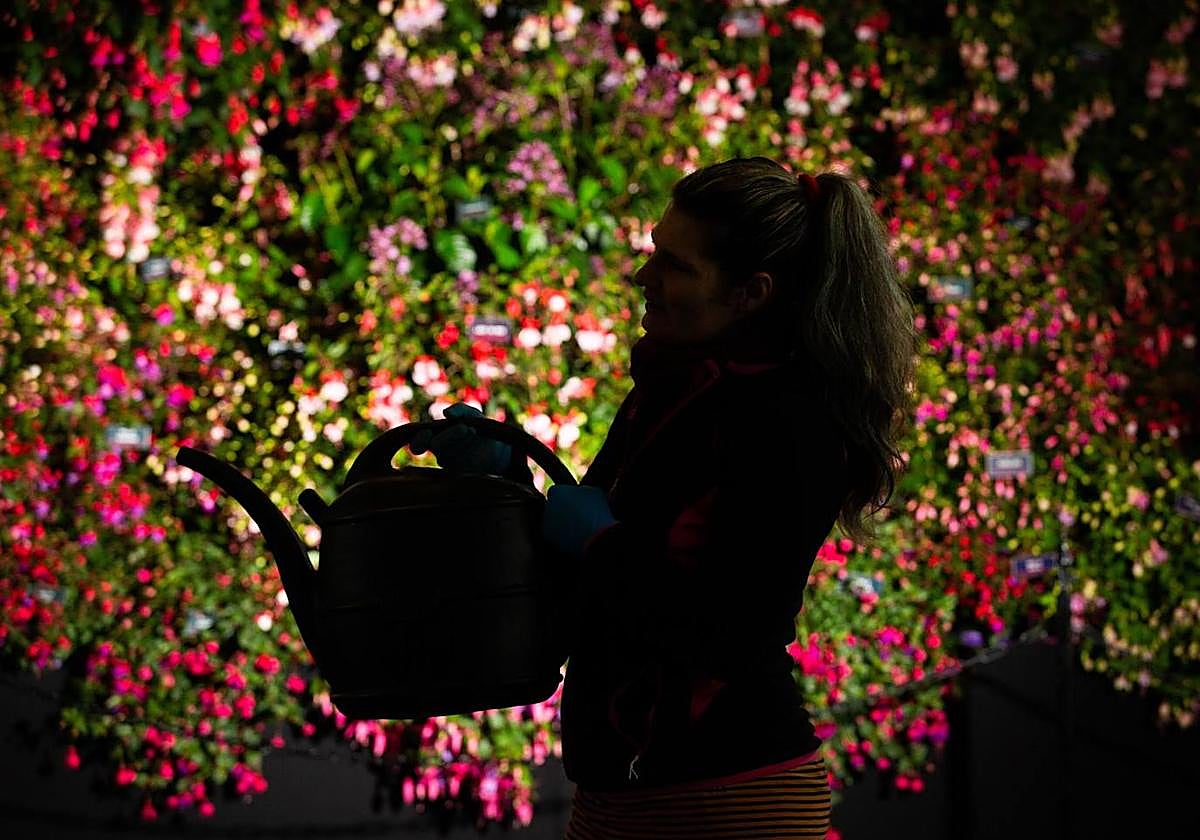 El día, en imágenes