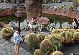 Visitantes en Jardín de Cactus.