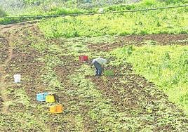 Un compromiso para crecer mejor