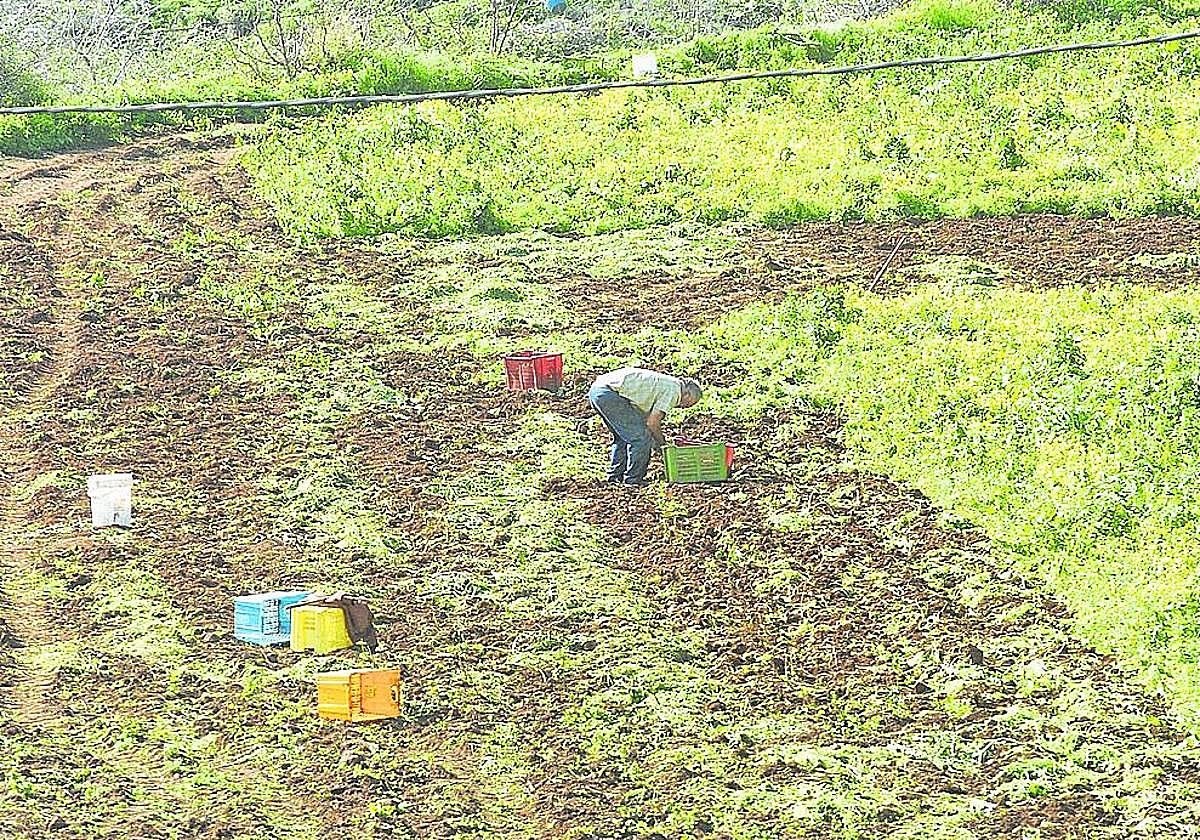 Un compromiso para crecer mejor