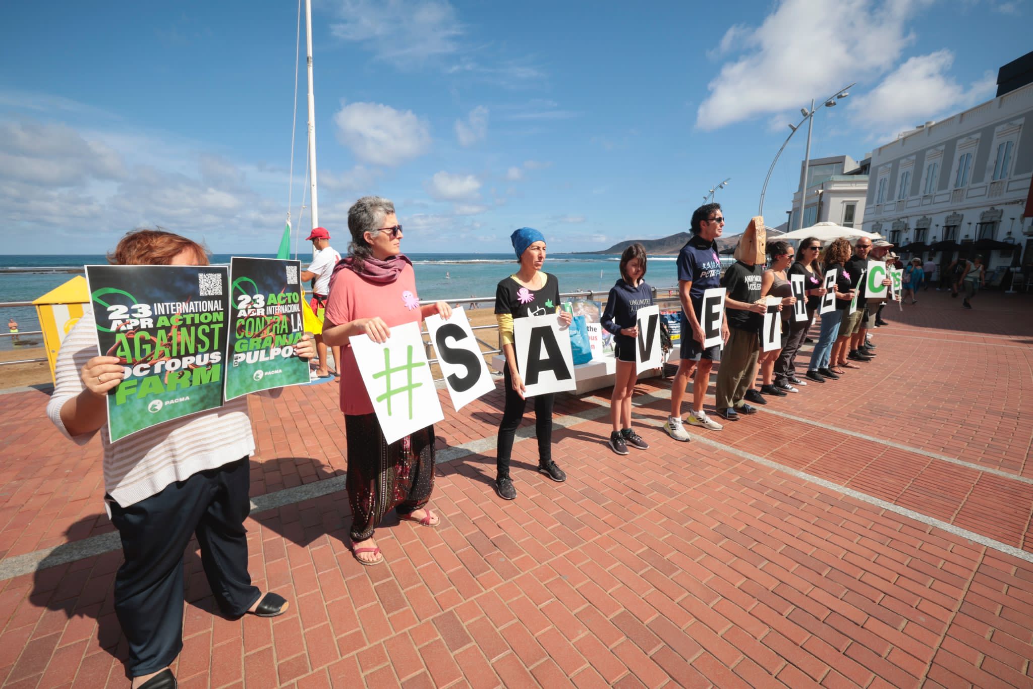 Contra la granja de pulpos