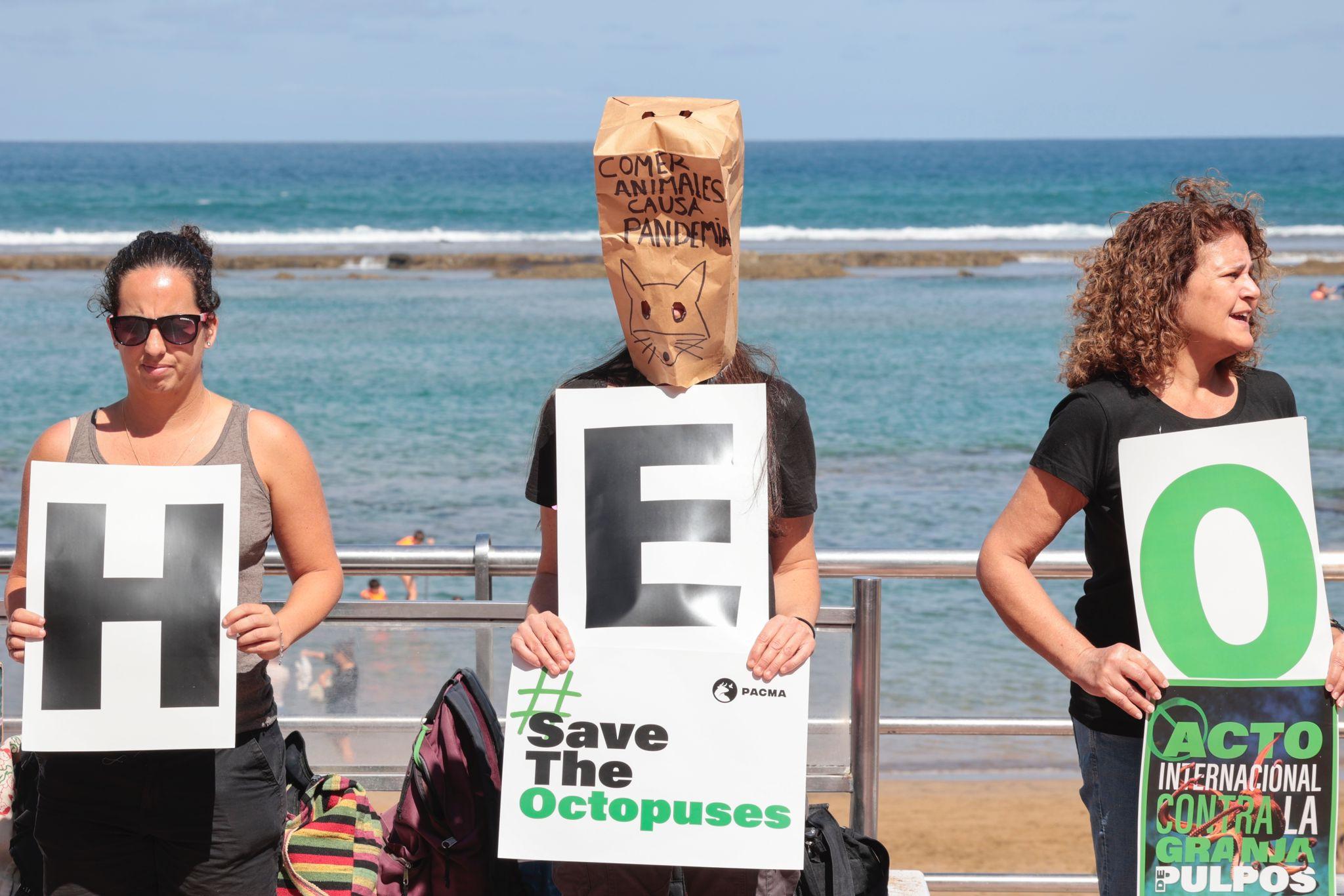 Contra la granja de pulpos