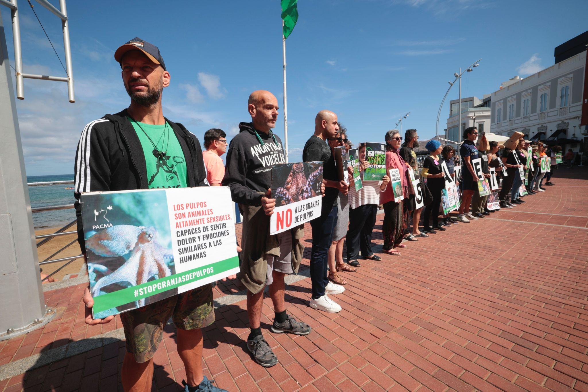 Contra la granja de pulpos