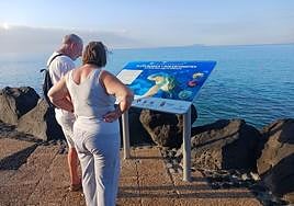 Panel en una zona costera sureña.