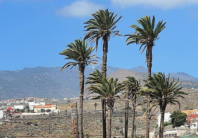 Los vientos se harán notar en estos días.