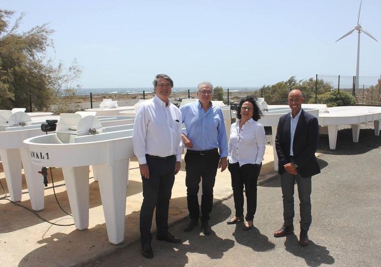 Cepsa y el Instituto Tecnológico de Canarias se unen para desarrollar biocombustibles a partir de microalgas