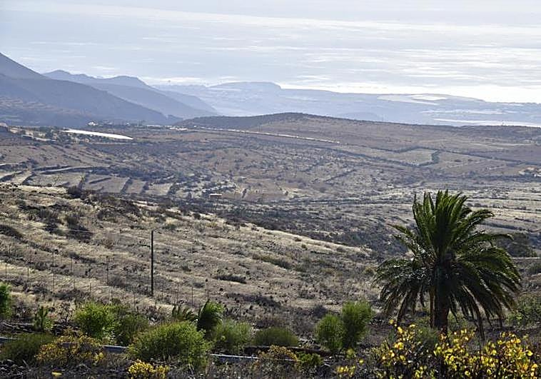 Del viento al calor: Gran Canaria podría llegar a los 32 grados