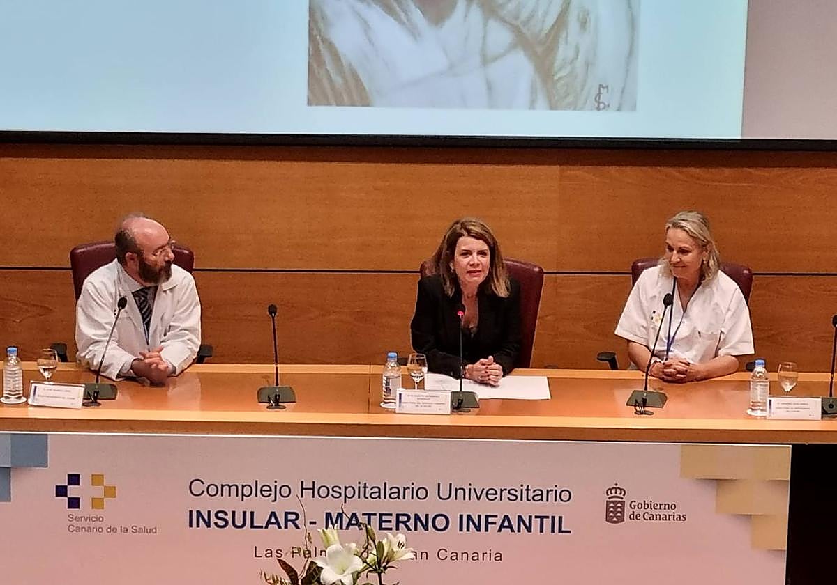 Momento de las jornadas sobre enfermería celebradas en el hospital Insular.