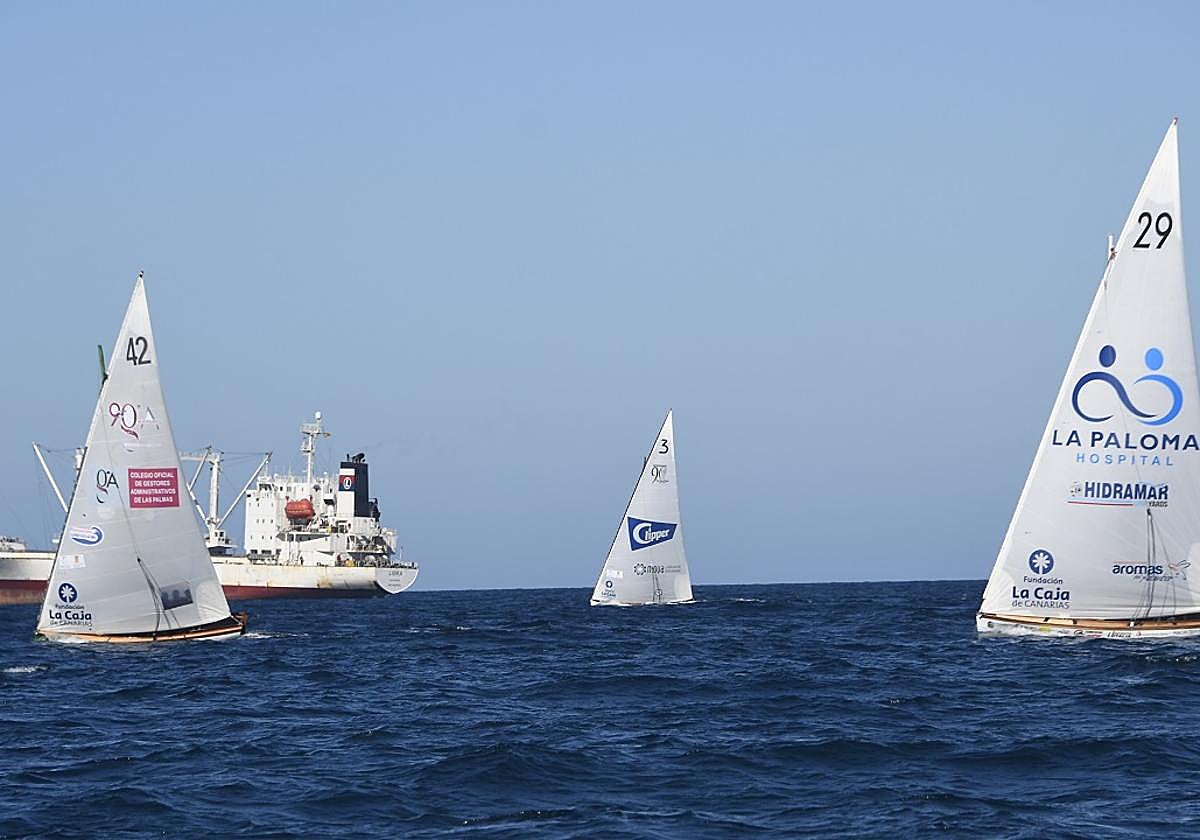 Diferentes botes de Vela Latina en la Bahía de Las Palmas de Gran Canaria.